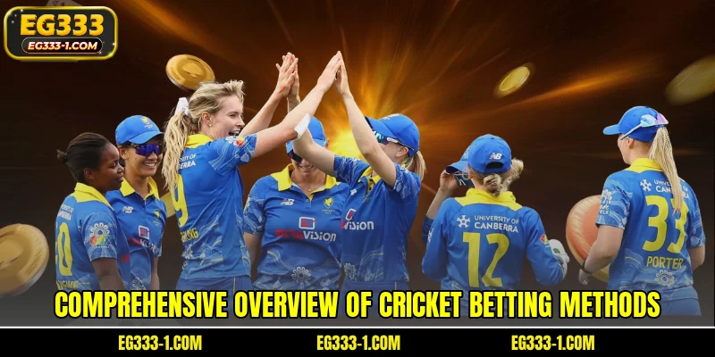 Comprehensive overview of cricket betting methods