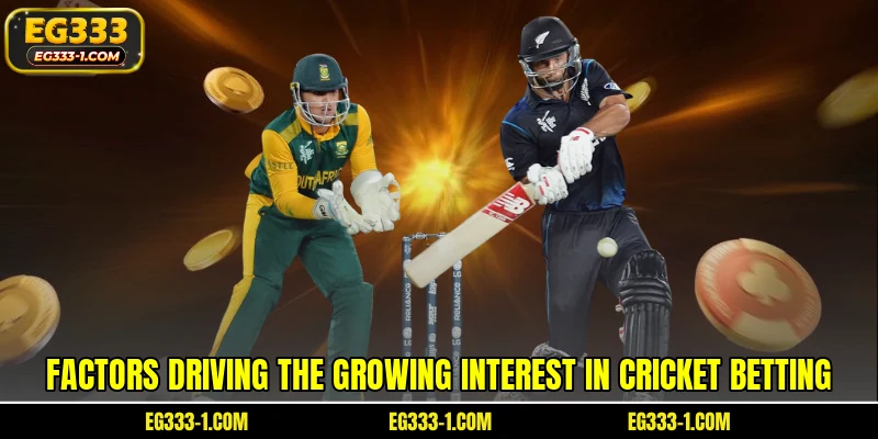 Factors driving the growing interest in cricket betting