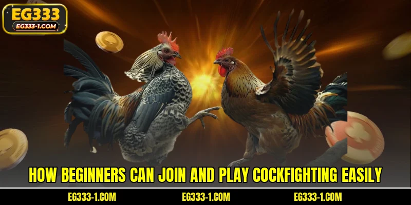 How beginners can join and play cockfighting easily