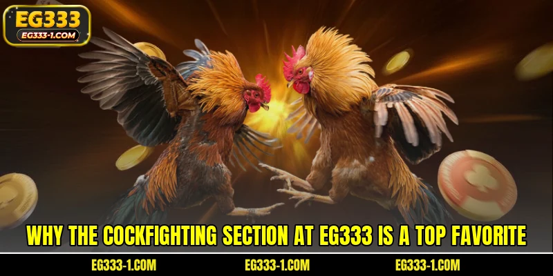 Why the cockfighting section at EG333 is a top favorite