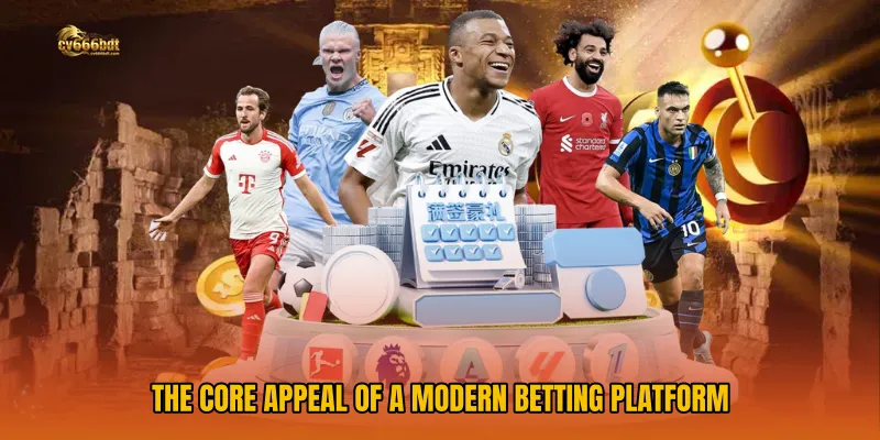 The Core Appeal of a Modern Betting Platform