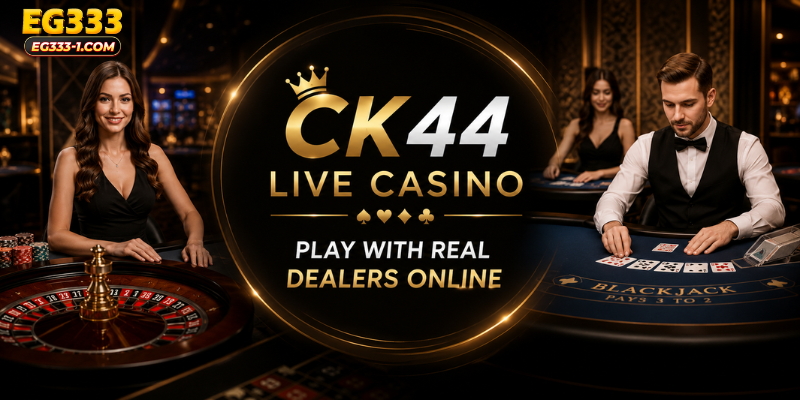 CK44 Live Casino – Play with Real Dealers Online